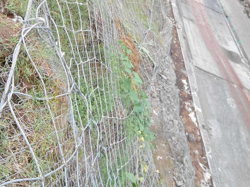 西藏TC-65B型主動防護網