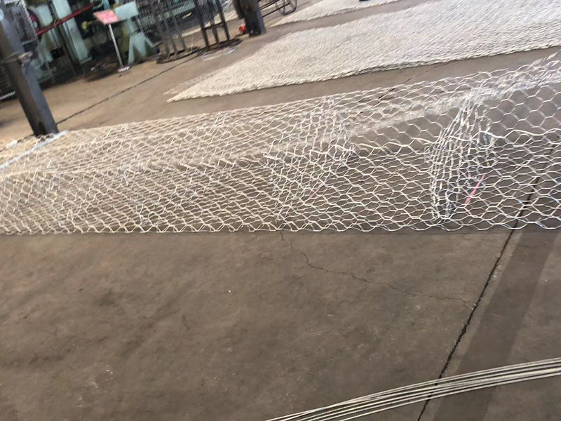 福建賓格籠