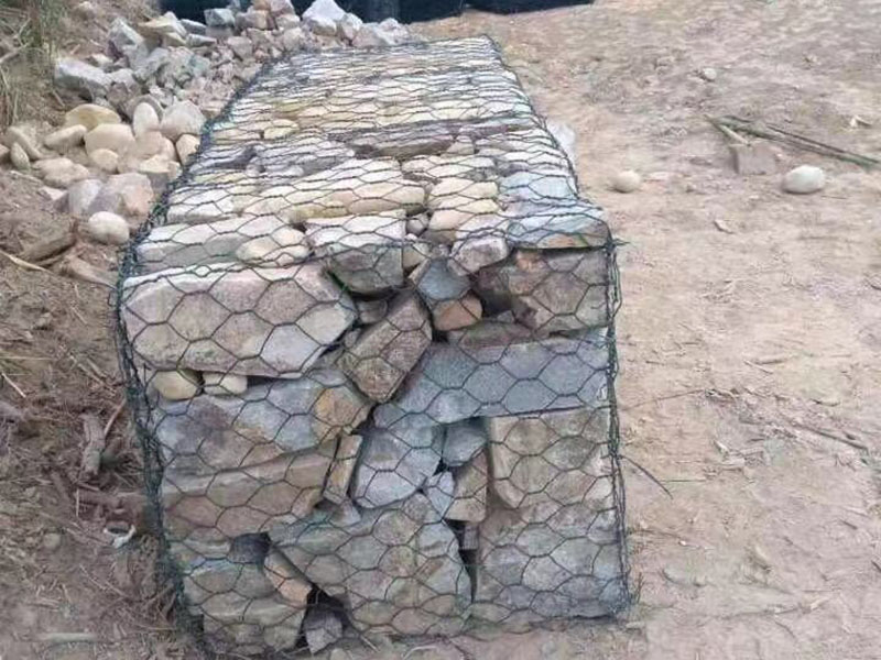 福建賓格籠