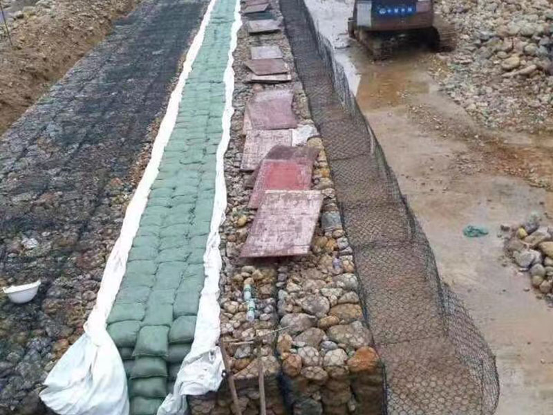 福建賓格籠