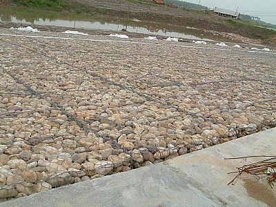 沈陽高爾凡雷諾護墊