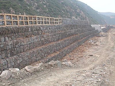沈陽雷諾護墊